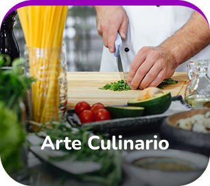 Arte Culinario