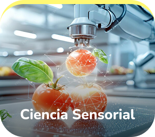 Ciencia Sensorial